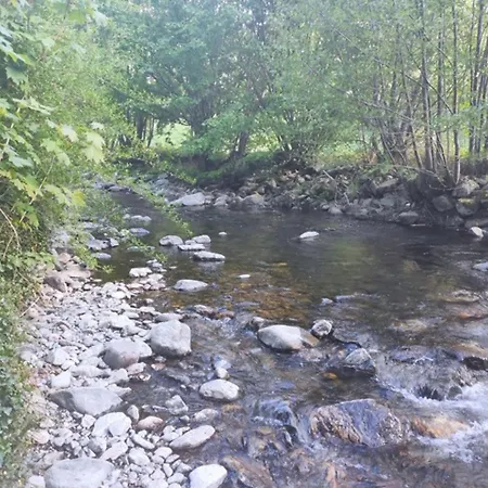 Zwischen Rhein Und Reben Sasbach am Kaiserstuhl